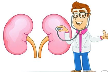 你的腎臟健康嗎？研究表明補硒對腎臟有保護作用