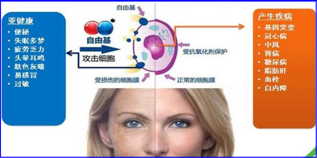 自由基是“百病之源”？硒元素可清除自由基