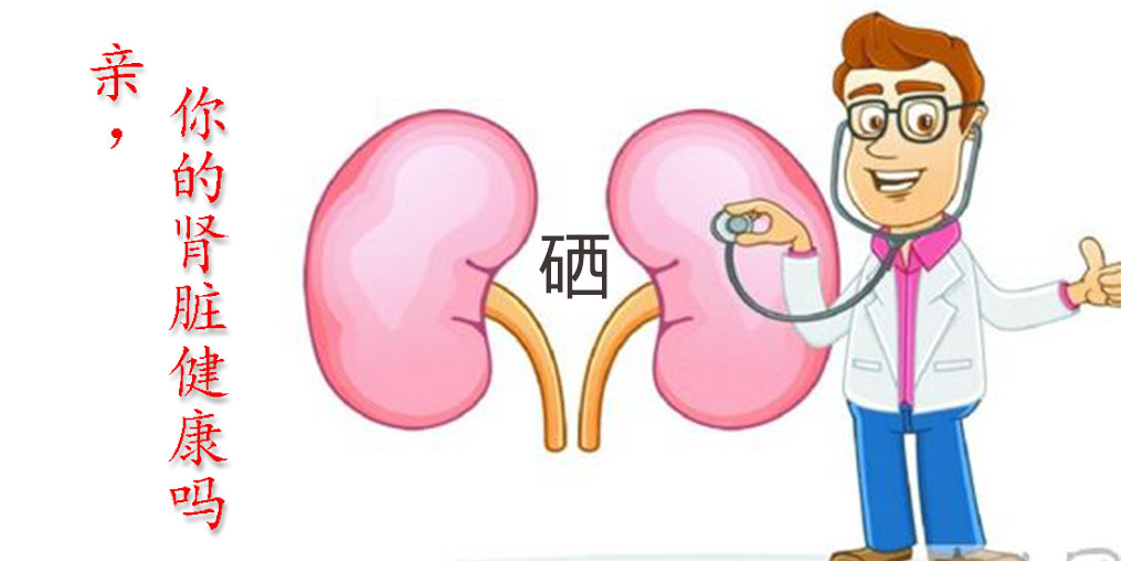 世界腎臟日|關(guān)愛腎臟健康，從補(bǔ)硒開始