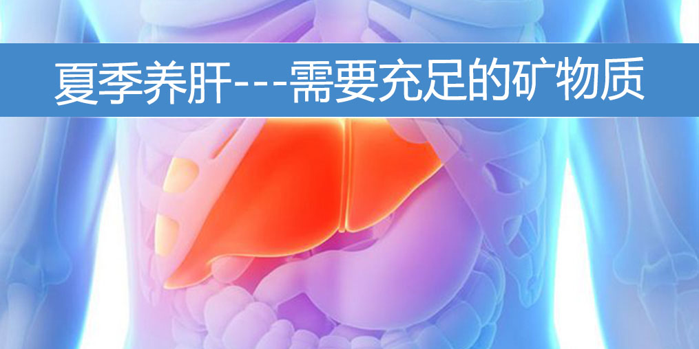 夏季養(yǎng)肝需要充足的礦物質，保護肝功能