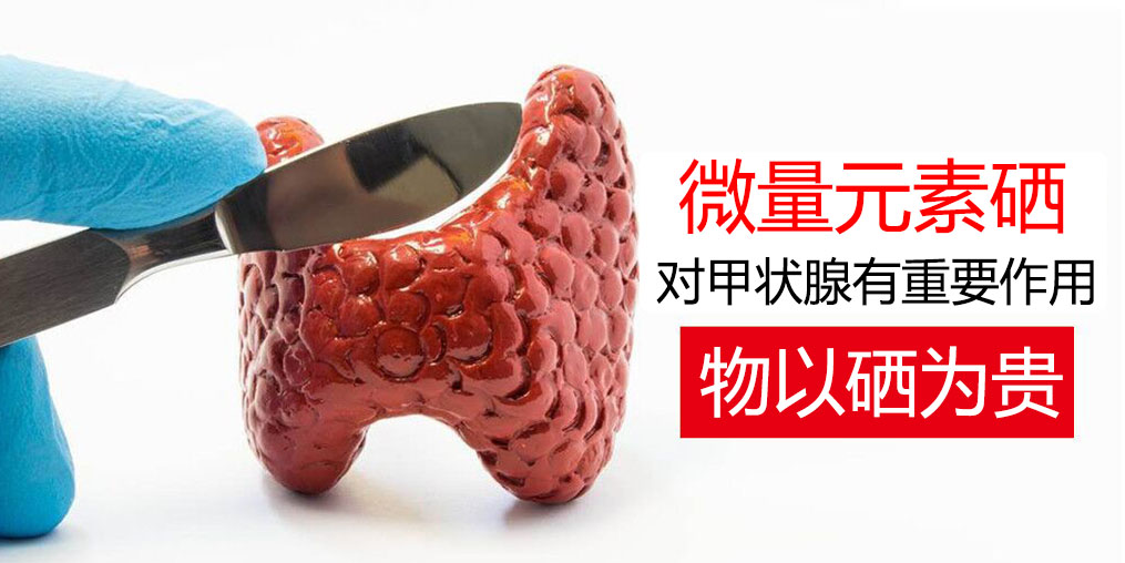 物以“硒”為貴，甲狀腺疾病能適當補硒嗎？