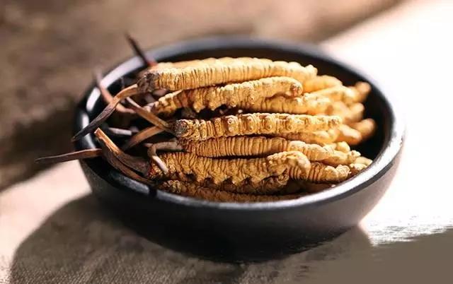 冬蟲夏草為什么得到很多人的認(rèn)可？
