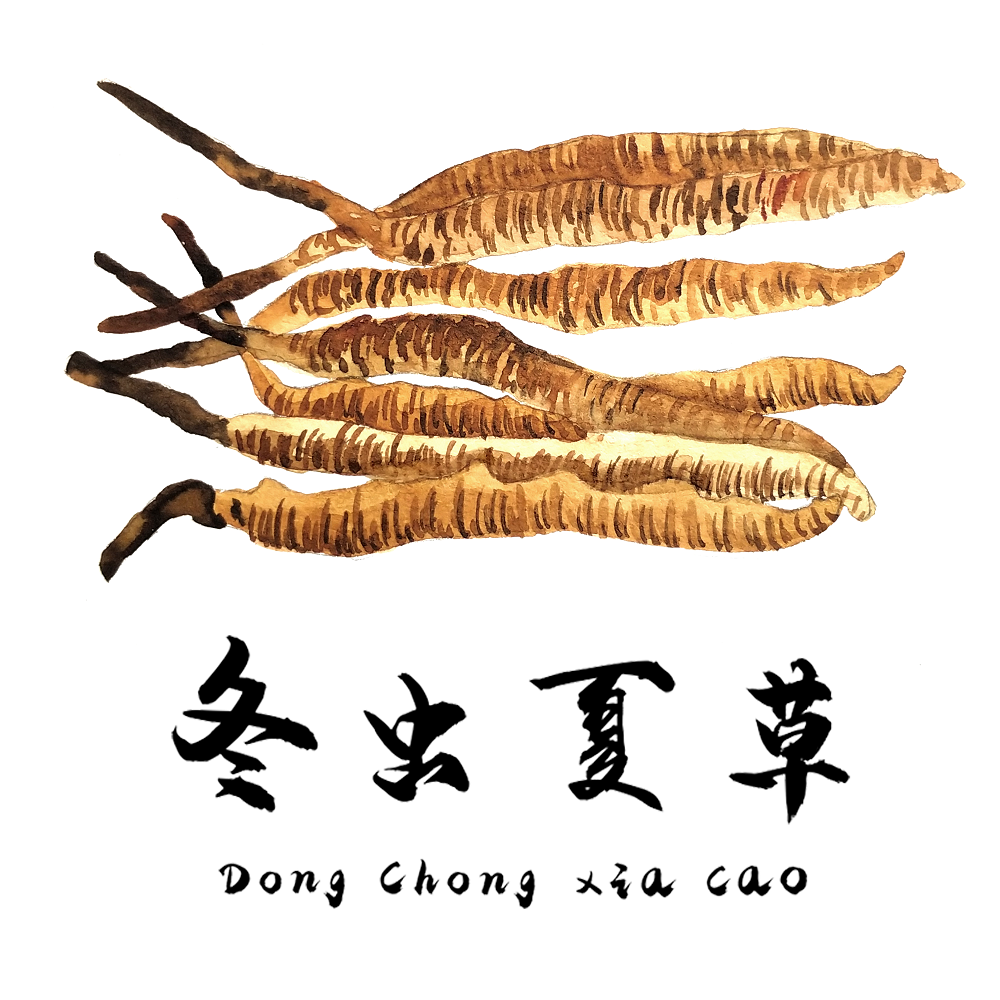 對(duì)于食道癌，冬蟲(chóng)夏草有一定的改善作用
