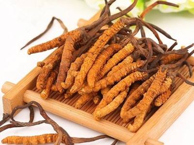蟲草素？冬蟲夏草里的蟲草素是什么？