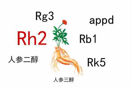化療常見副作用有哪些？