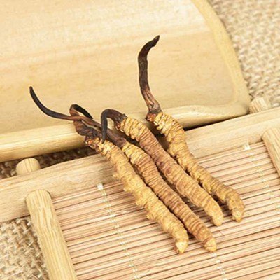 提高免疫力，冬蟲(chóng)夏草是個(gè)好幫手