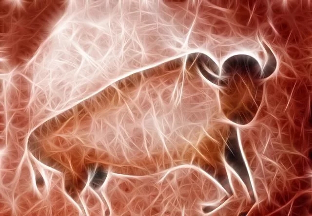 牛磺酸到底對人體神經(jīng)系統(tǒng)有什么好處？