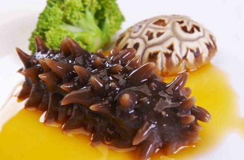 關(guān)于海參的冷知識(shí)，您知道嗎？