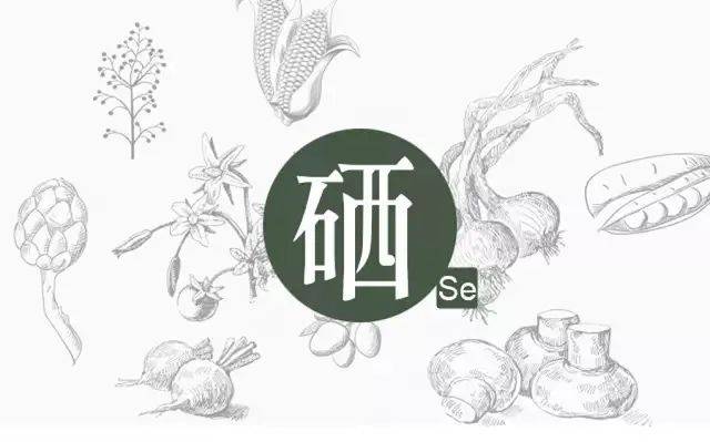 硒的幾種分類，你補(bǔ)對了嗎？
